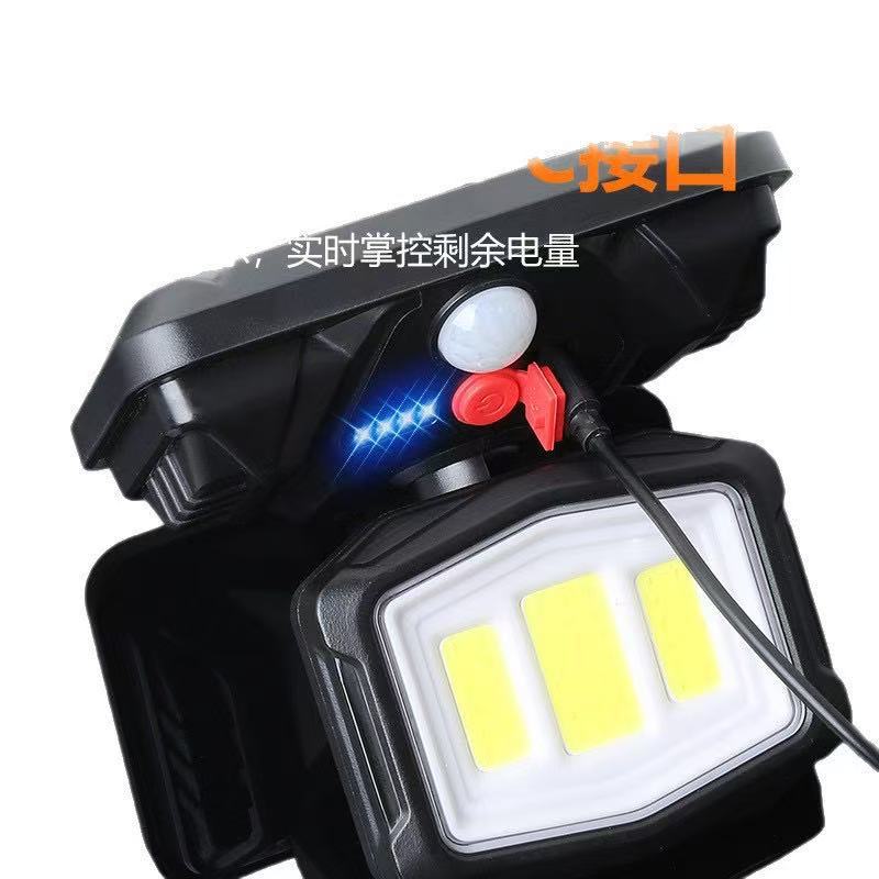 壁灯/太阳能壁灯/LED壁灯/火炬/BK260-8白底实物图