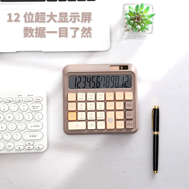 RZ.866B high-appearance-level office calculator, multi-functional solar-powered computer, student financial computer Application Scenario