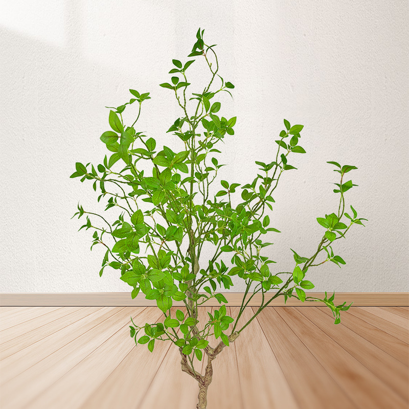 仿真植物实物图