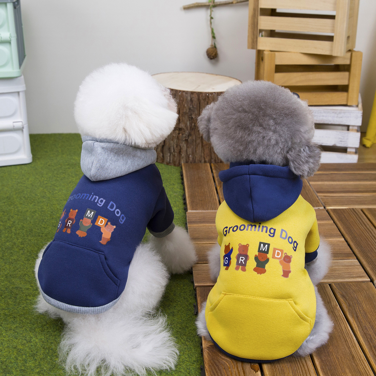 狗狗衣服秋冬装泰迪比熊小型犬猫咪两脚宠物衣服冬季早上卫衣