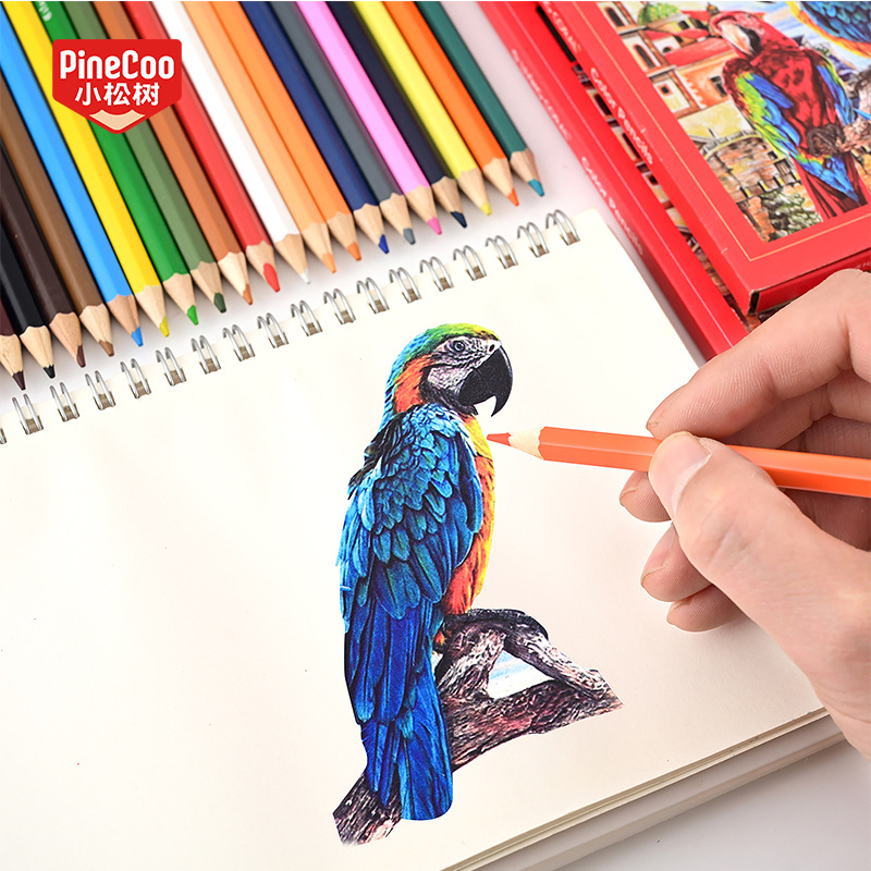 Wholesale of 12/24-color oil-based pencils for children and primary school students' art and painting with hexagonal rods from cross-border colored pencils Specification image