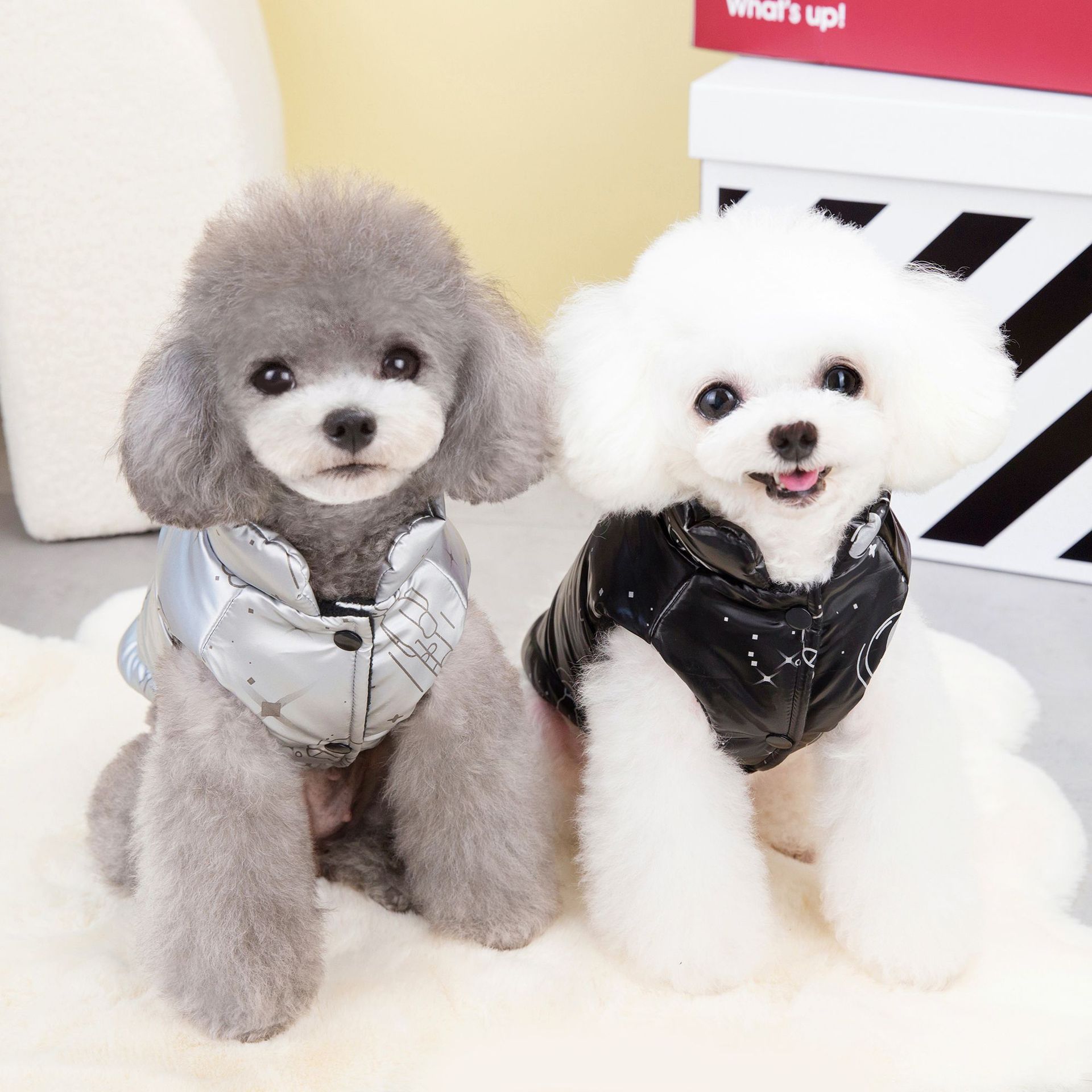 New pet clothing for autumn and winter 2023: Teddy Bear dog warm cotton-padded jacket, space travel casual cotton vest details Picture