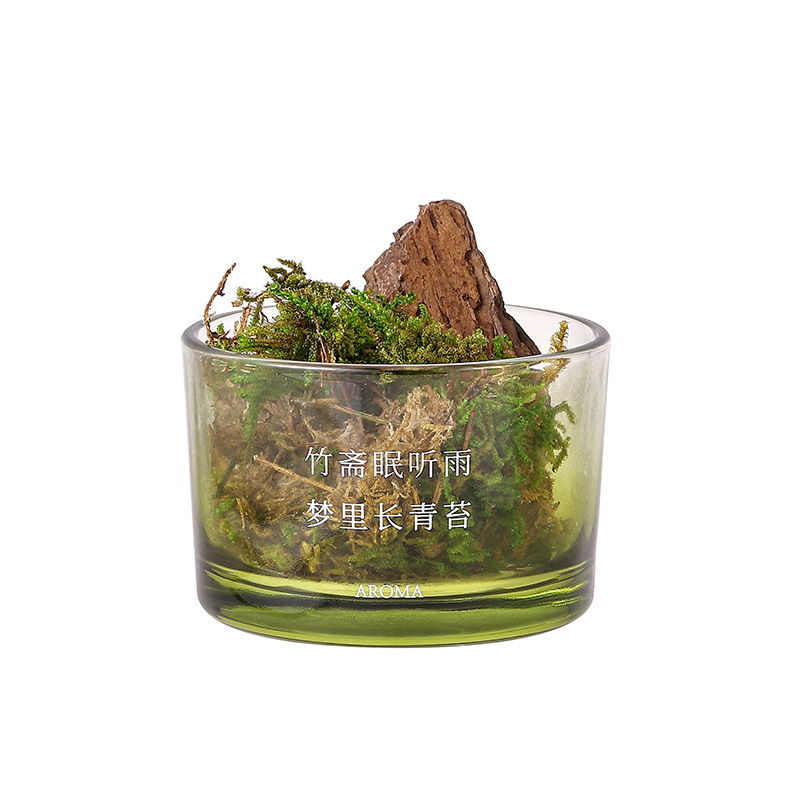 Dreamy Moss Diffuser Cup Aromatherapy Decoration, Creative diffuser essential Oil, Dragon Boat Festival Gift Aromatherapy decoration Item Picture