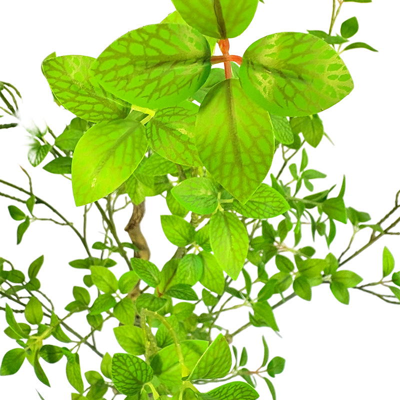 防真插花/多肉仿真花/微景观手工苔藓批发/针织花/仿真植物白底实物图