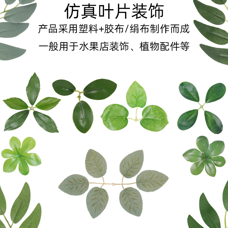 仿真蕨类实物图