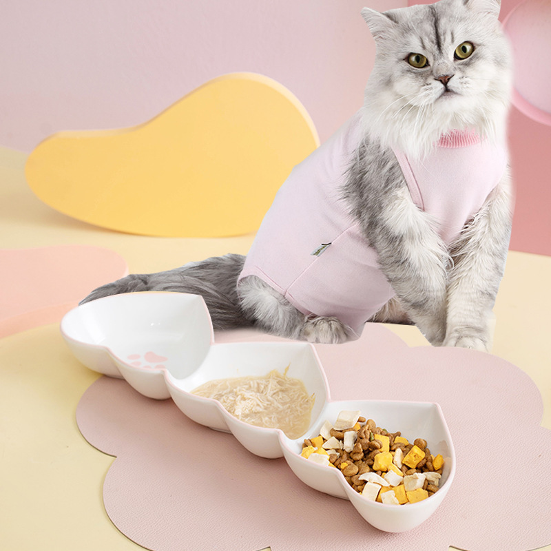 Pet meal plates, pet feeding bowls, pet supplies, pet automatic water dispensers, dog bowls, pet feeding bowls, pet supplies, pet automatic water dispensers, dog bowls, pet bowls, pet feeding bowls, pet supplies, pet automatic water dispensers, dog bowls, pet bowls, pet feeding bowls, pet supplies, pet automatic water dispensers, dog bowls details Picture