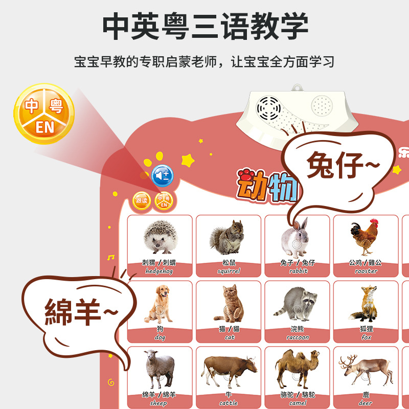 玩具挂图/认知卡实物图