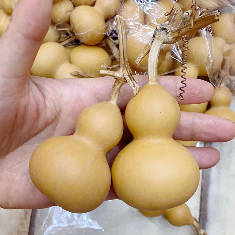 2026 New Natural gourd Fine cultural playthings, hand-twisted small gourd handicrafts, wholesale from American gourd manufacturers Specification image