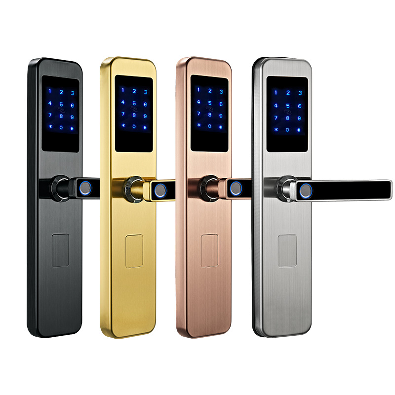 Tongtong Lock Silver and black dual-color smart door lock with facial and fingerprint recognition and blue backlit keyboard Item Picture