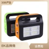 Camping lamp, outdoor portable lamp, charging lighting system, portable power bank, emergency light, strong light details Picture