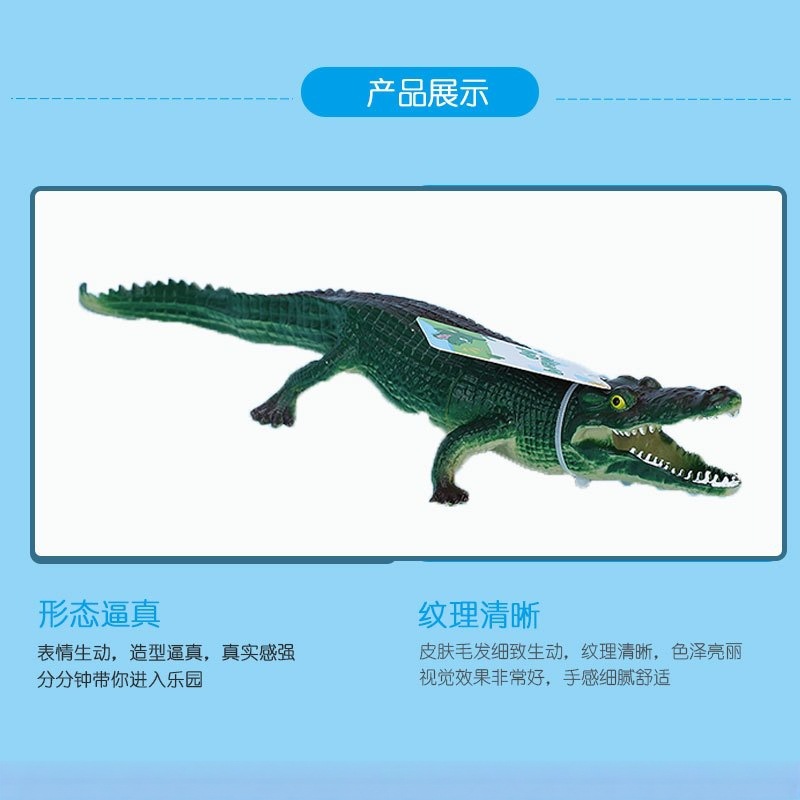动植物/仿真模型实物图