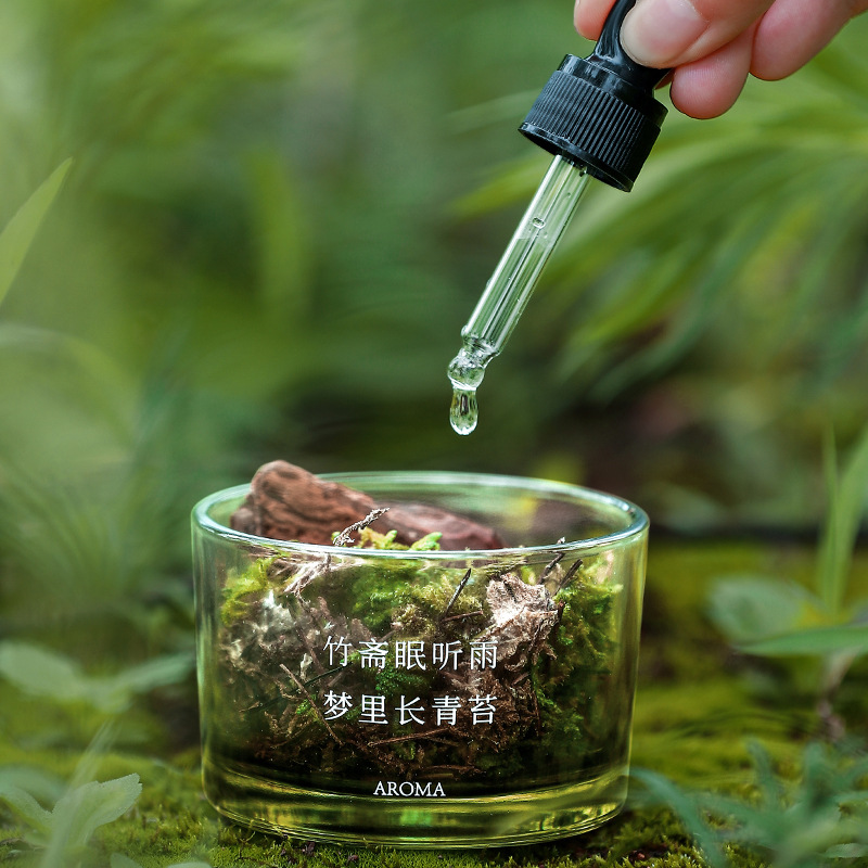 Dreamy Moss Diffuser Cup Aromatherapy Decoration, Creative diffuser essential Oil, Dragon Boat Festival Gift Aromatherapy decoration
