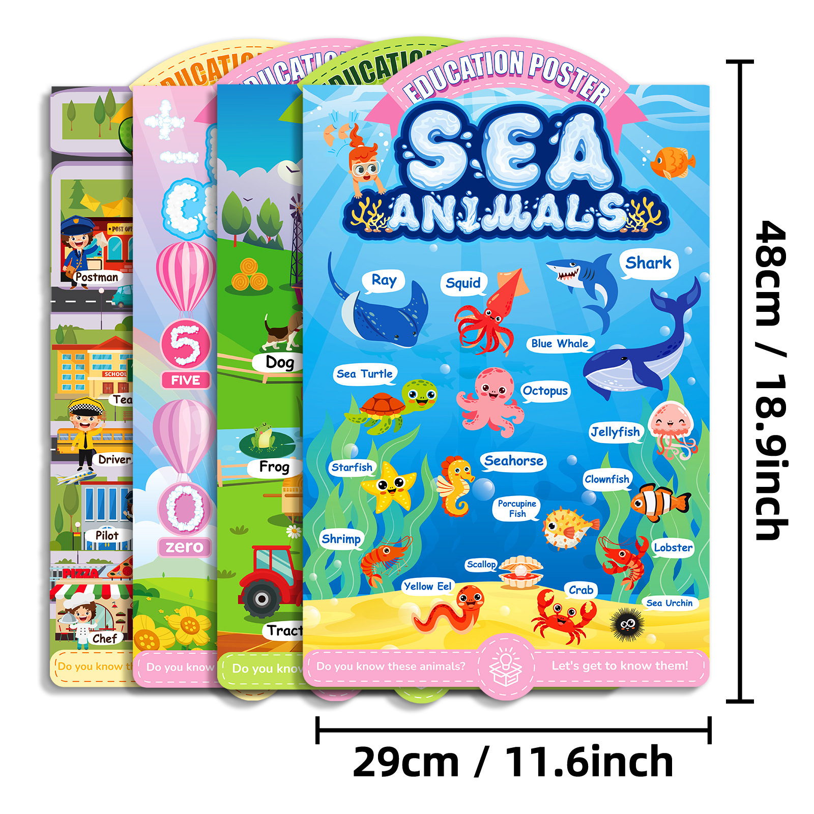 【 Fixed Price 】16 educational posters, children's early education cartoon decorative paintings, English enlightenment wall pictures, and children's character recognition details Picture