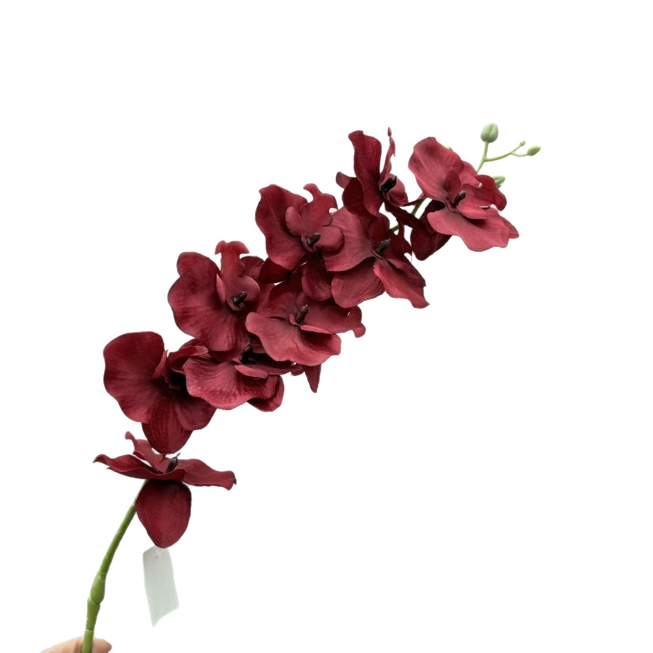 跨境仿真蝴蝶兰9头绢布客厅插花仿真花婚庆路引布景吊顶假花批发白底实物图