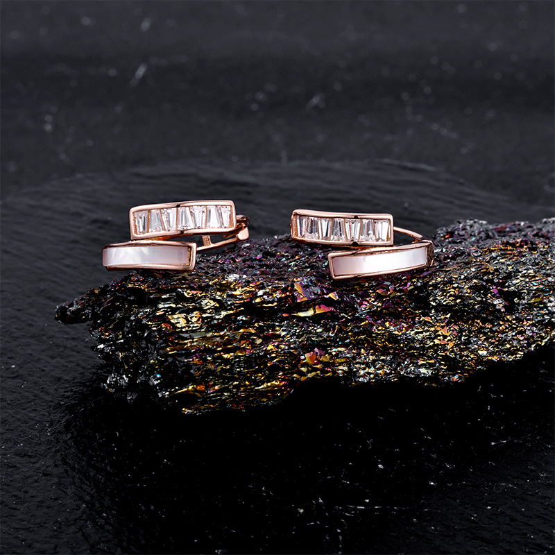 Zhuoheng selects cross-border geometric double-layer cross-zirconia earrings for women. Simple and unique design, high-end light luxury S925 sterling silver ear buckles details Picture