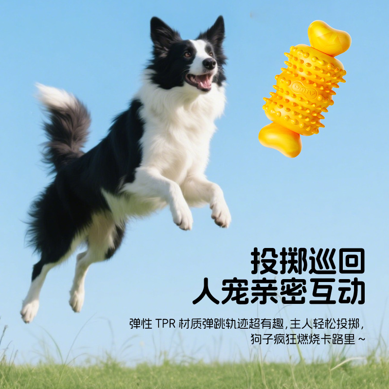 狗狗磨牙玩具狗狗磨牙棒狗狗啃咬玩具宠物玩具独处玩耍用品