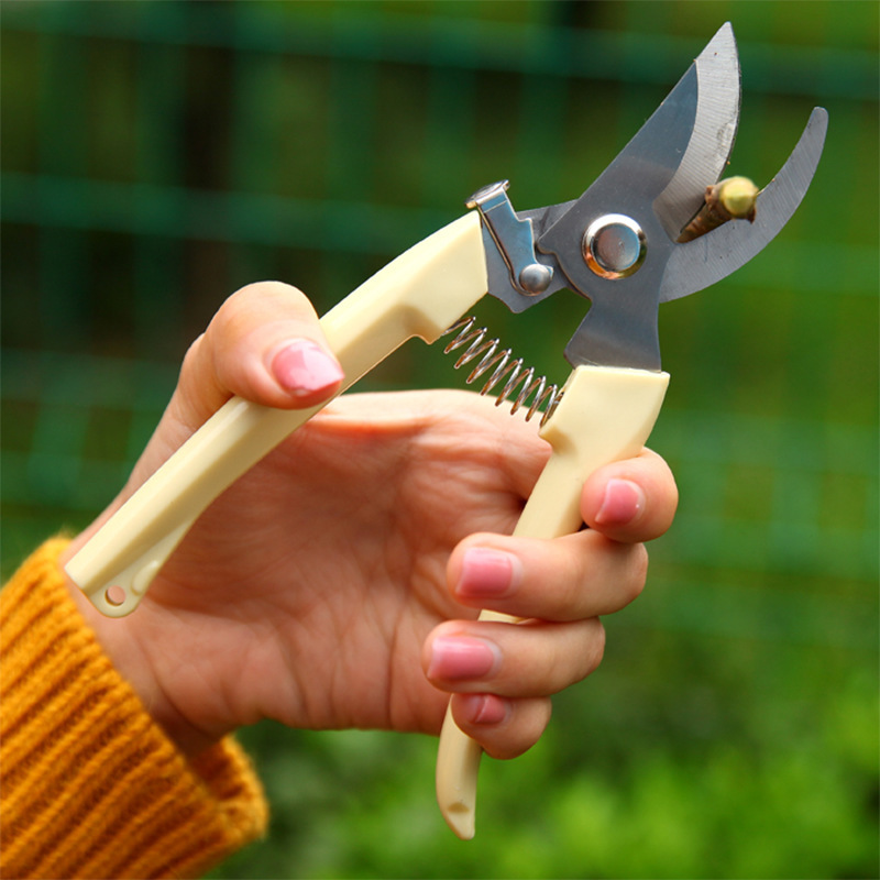 Stainless steel flower shears, pruning shears, branch shears, garden shears, thick branch shears, garden shears, fruit tree shears, hardware tools Specification image