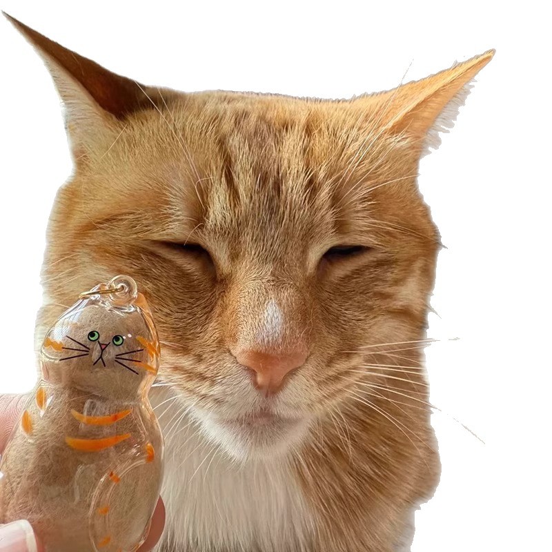 透明猫型猫毛收纳吊饰扭蛋猫咪毛发存放胶囊纪念包钥匙扣包挂件详情图5