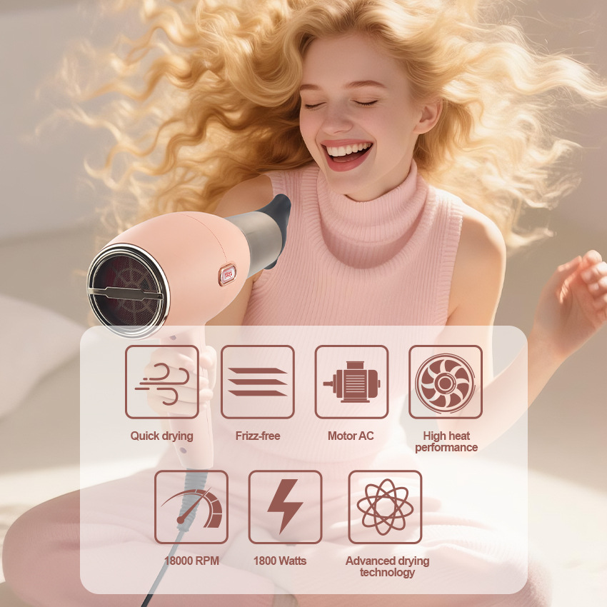 DSP/丹松电吹风机家用吹风筒学生理发店专用大功率吹风机产品图