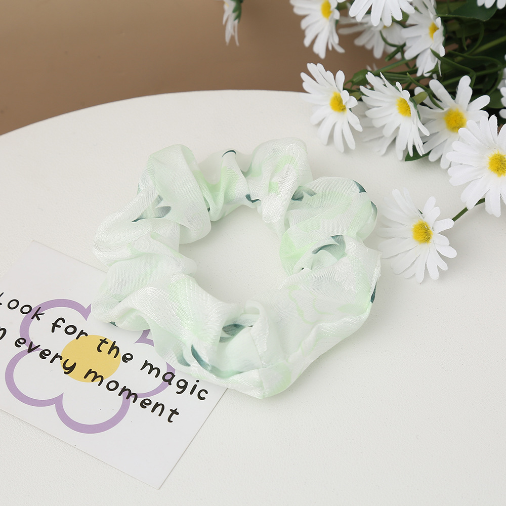 A fresh and delicate girl's large intestine hair band with a ponytail and a hair band, a Korean version of an Instagram girl's hair band details Picture