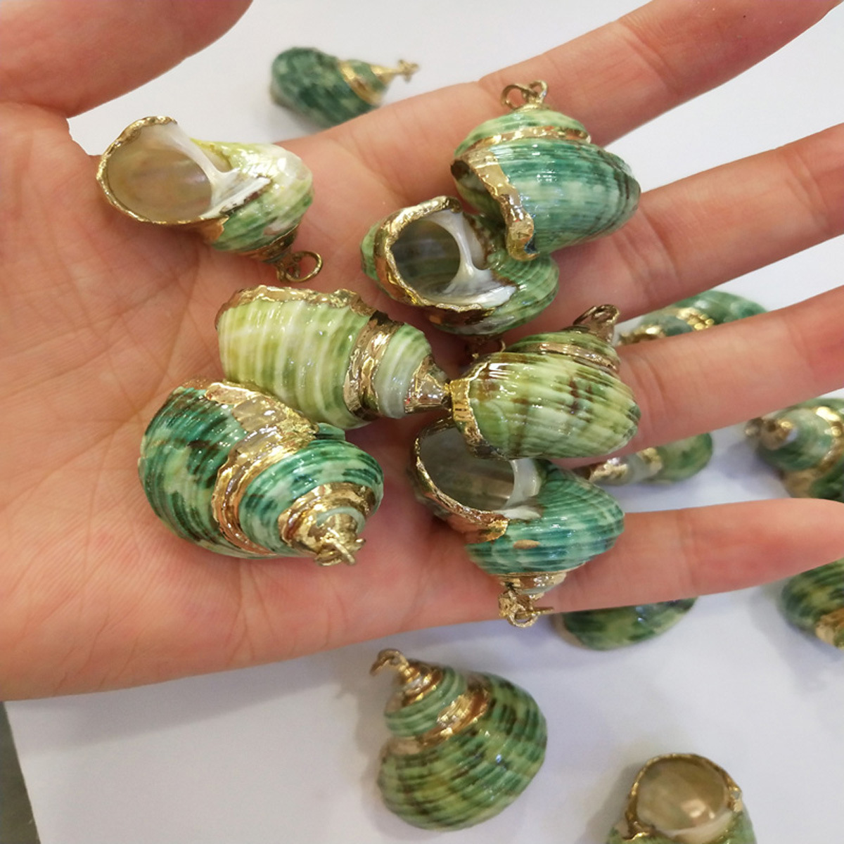 Green shell pendant with golden edges details Picture