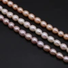 Natural freshwater pearl rice-shaped pearl DIY jewelry accessories, handcrafted jewelry necklaces production and wholesale Specification image
