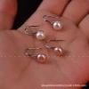 Freshwater pearl ear studs S925 silver ear hooks simple high heels ear hooks Women's strong light earrings One piece to convey light luxury Application Scenario