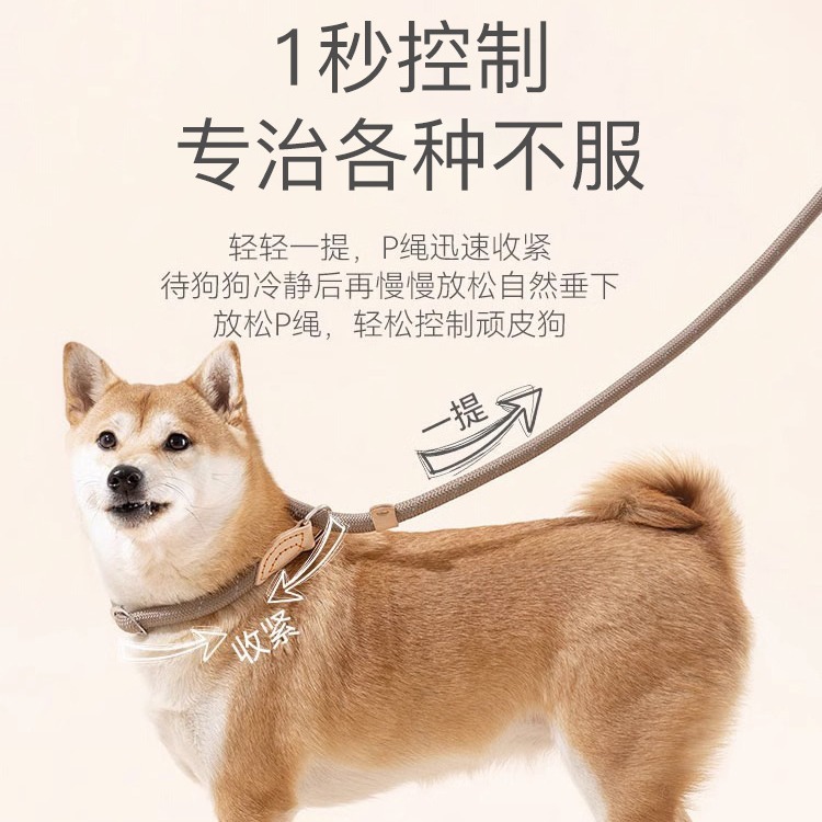 狗狗绳子防爆冲P链遛狗牵引绳防挣脱狗链子中大型犬防爆冲拴狗绳