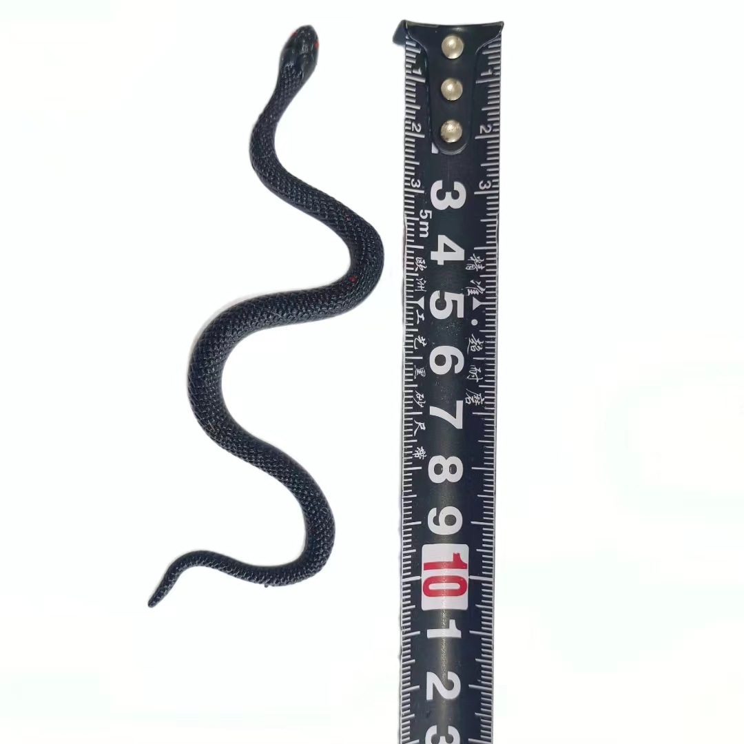 整人玩具实物图