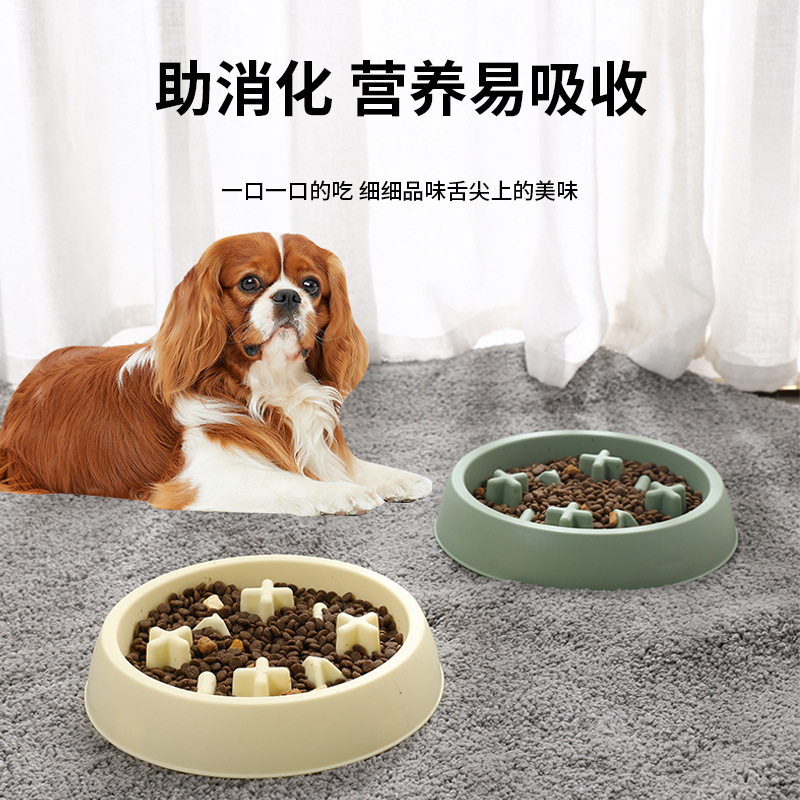 Rongka Pet Cross-border Pet Bowls for cats and Dogs, anti-choking and anti-vomiting slow food bowls, multi-color small and medium-sized dog feeding slow food bowls details Picture