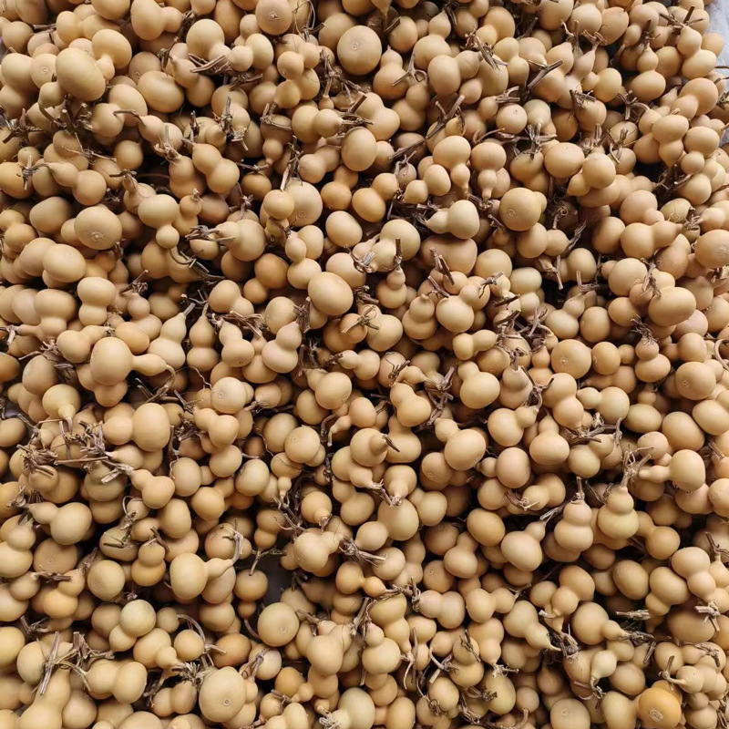 2026 New Natural gourd Fine cultural playthings, hand-twisted small gourd handicrafts, wholesale from American gourd manufacturers details Picture