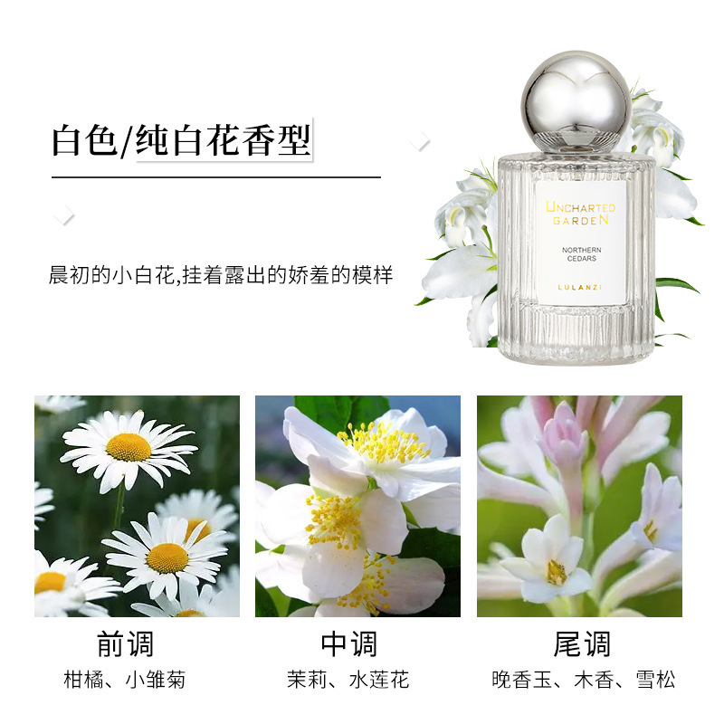香水/跨境香水/香水小样/香水卡纸/高仿香水细节图