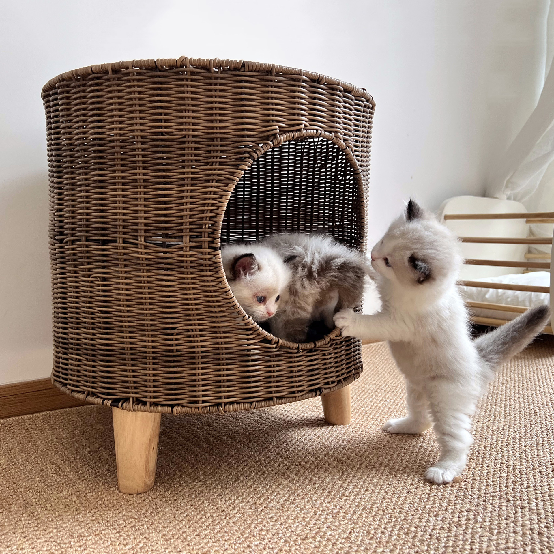 编织猫窝猫咪猫爬架宠物用品猫别墅鸟窝猫窝