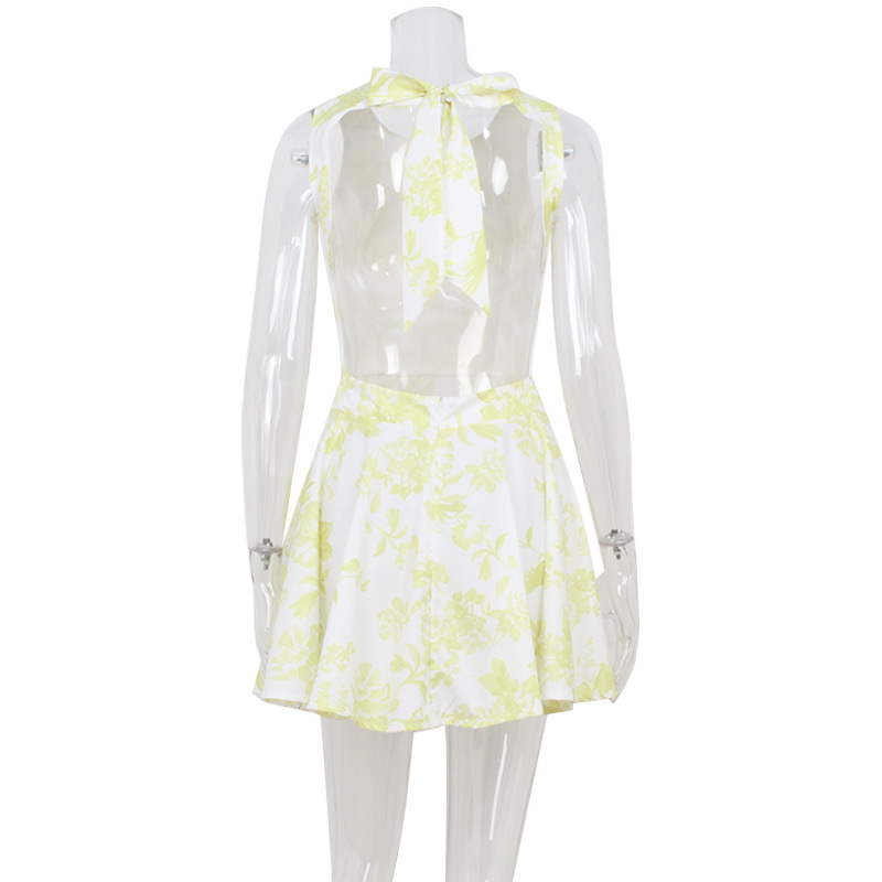 The new cross-border spring and summer women's clothing collection features A high-end and elegant sleeveless high-waisted backless A-line fashionable printed short skirt dress Application Scenario