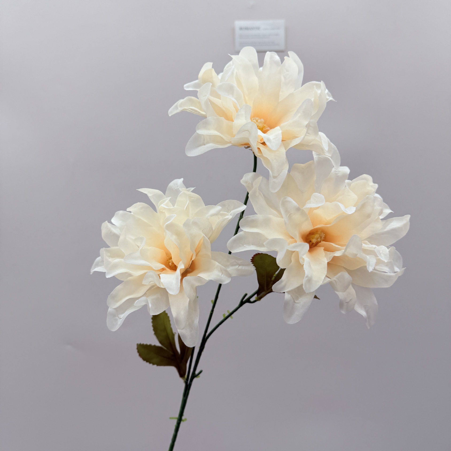 仿真植物配件实物图