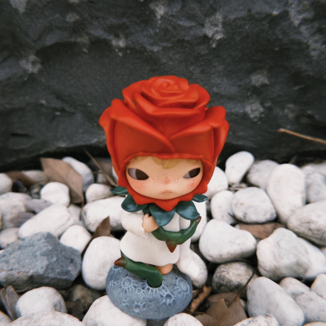 import白底实物图