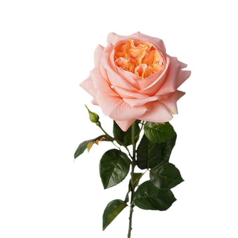 Moisturizing rose with a touch, simulated Juliet rose, light luxury dining table decoration, setting, photography props, wedding bouquet Item Picture