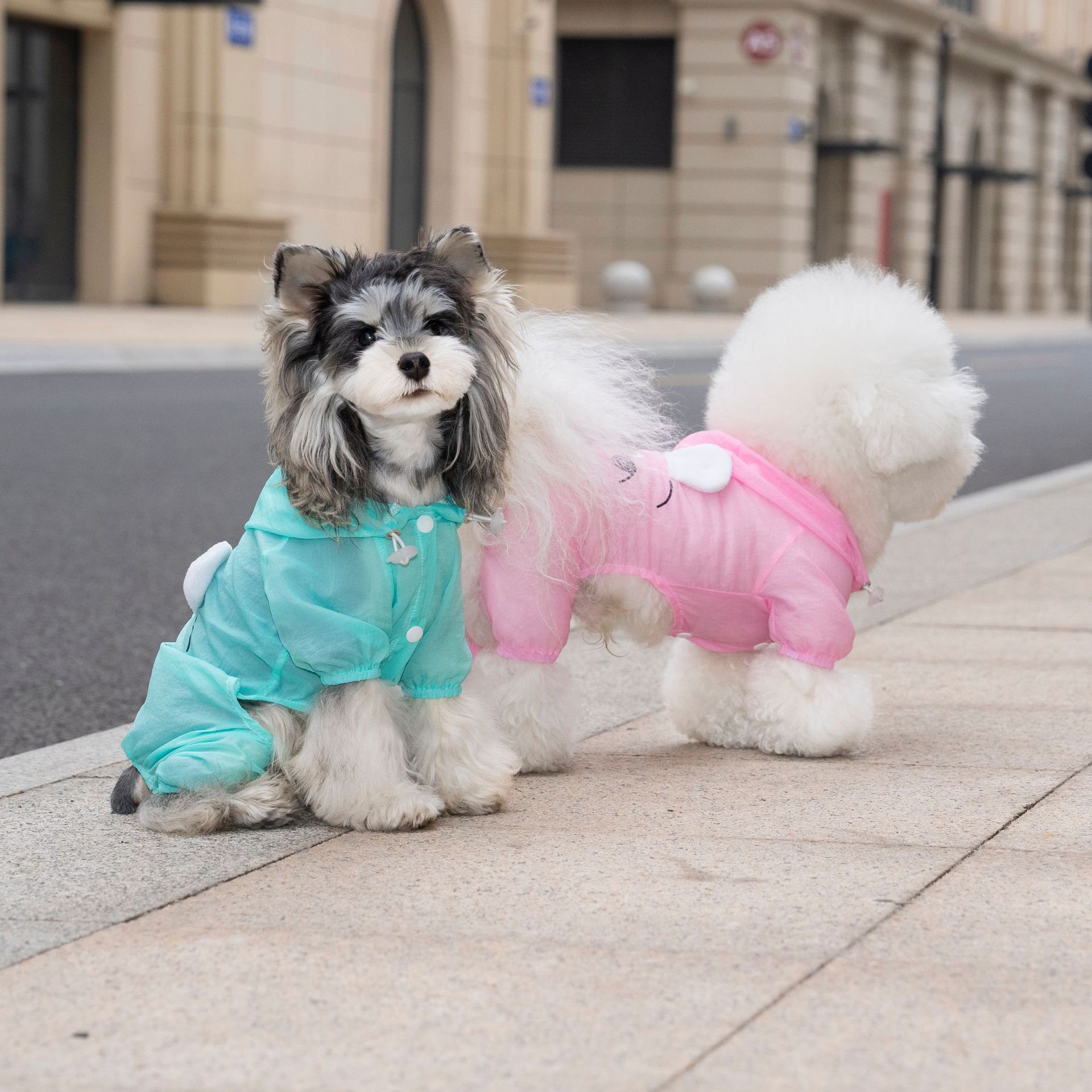 Spring and summer pet waterproof four-legged coat, dog and cat cap skin coat, small dog, teddy and bichon Frise outdoor wear Specification image