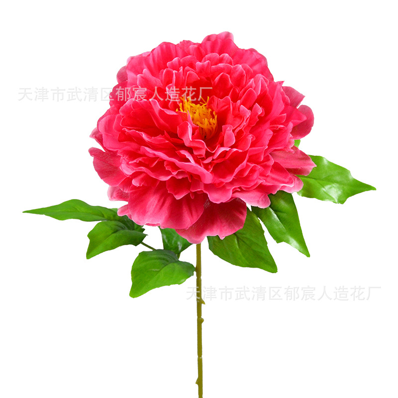 仿真牡丹单枝洛阳花芍药多层重瓣牡丹古装家居装饰摆放餐桌花插花白底实物图