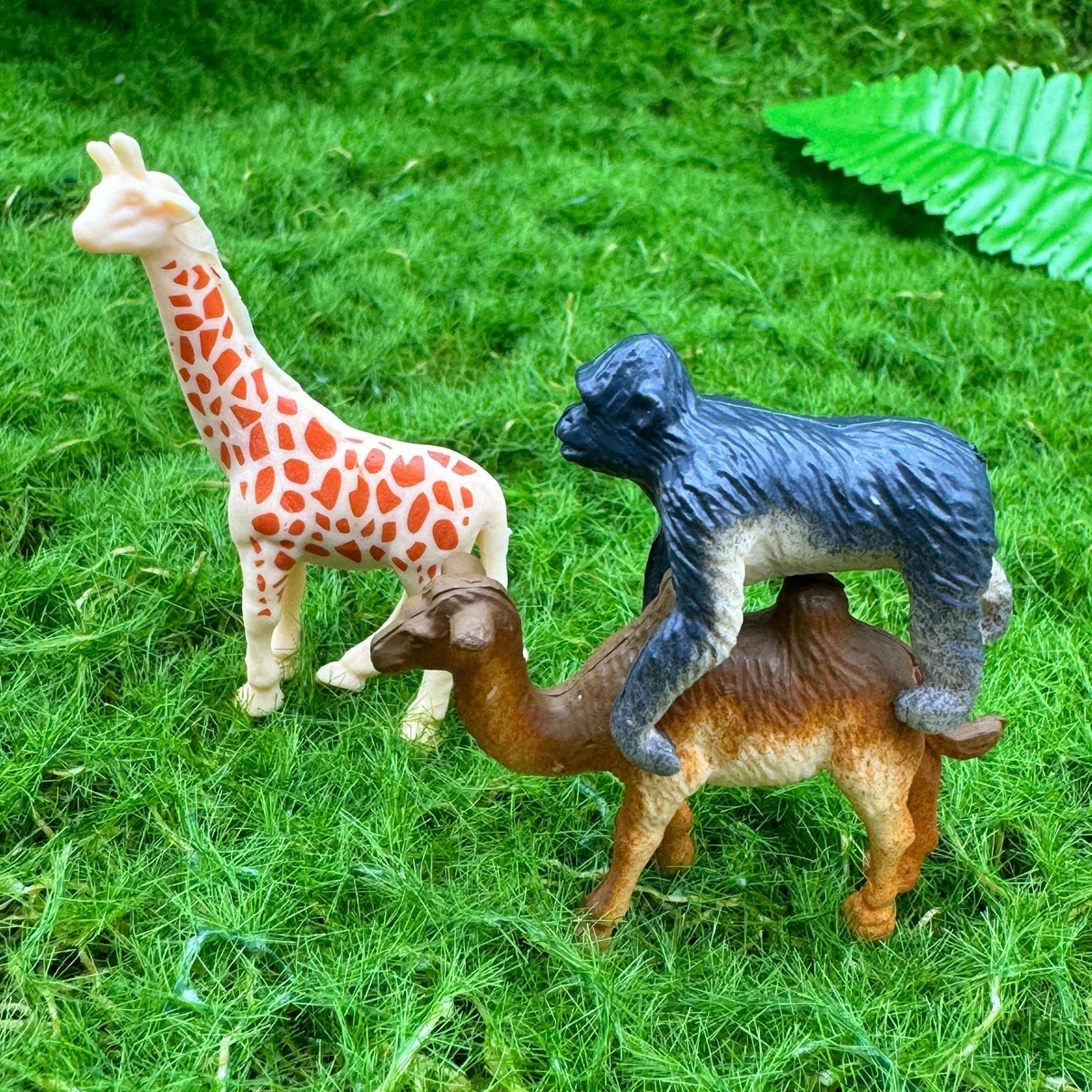 动植物/仿真模型实物图