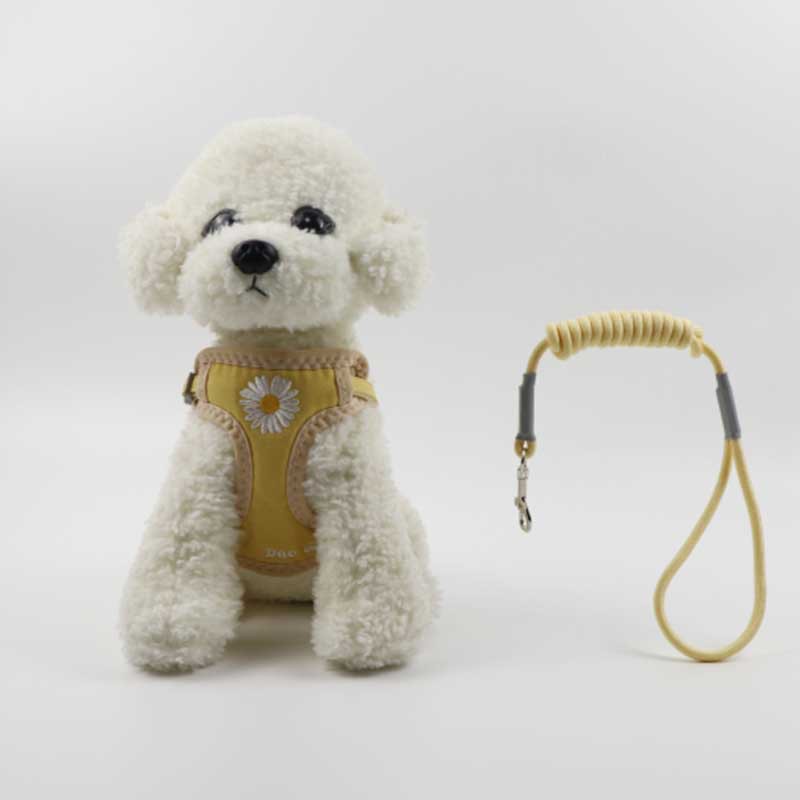 Rongka Pet Cross-border anti-breakaway pet leash Chrysanthemum embroidery Dog Walking out dog chest and back strap Breathable and not tiring neck net bag dog leash supplies Application Scenario