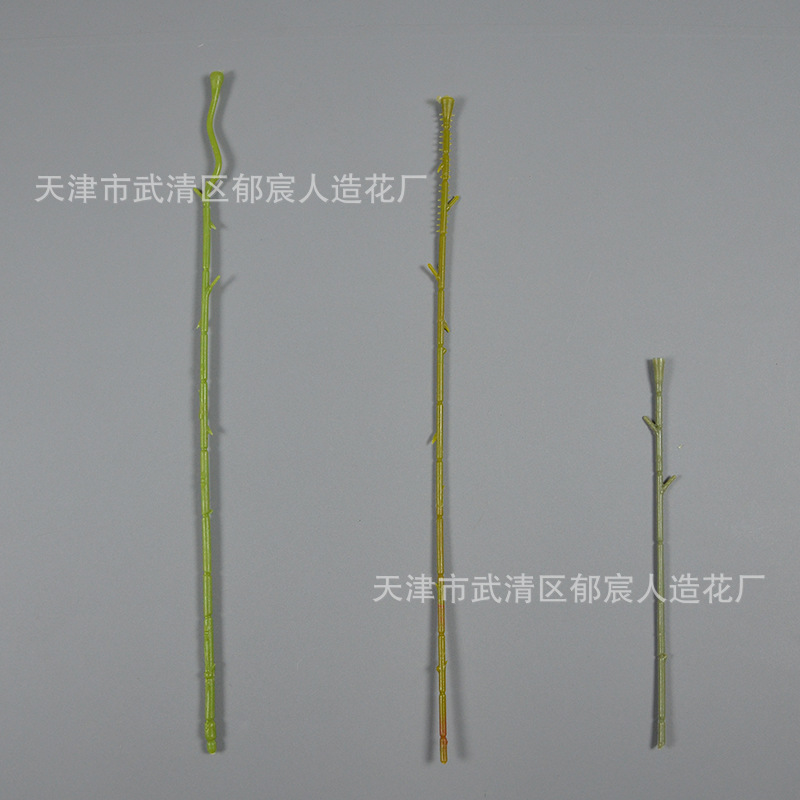 仿真蕨类实物图