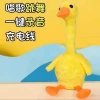 A popular baby toy, a dancing little yellow duck, is recorded to learn to speak and sing. It's a comforting birthday gift for babies and children Application Scenario