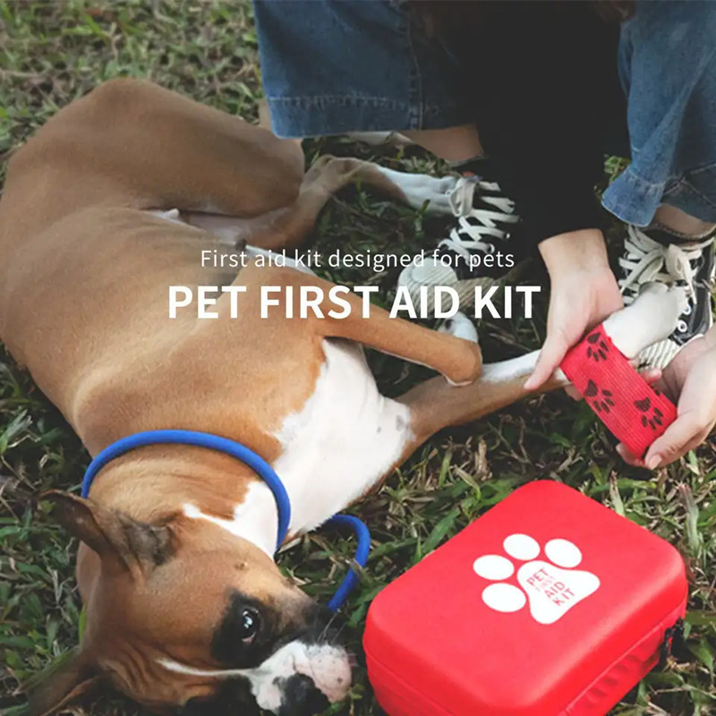 Cross-border export pet first aid kit, portable cat and dog medical first aid kit, Amazon pet emergency supplies set Application Scenario