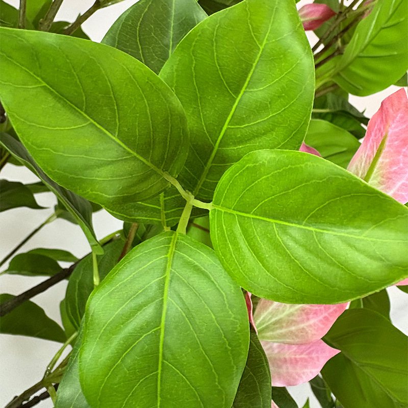 仿真植物实物图