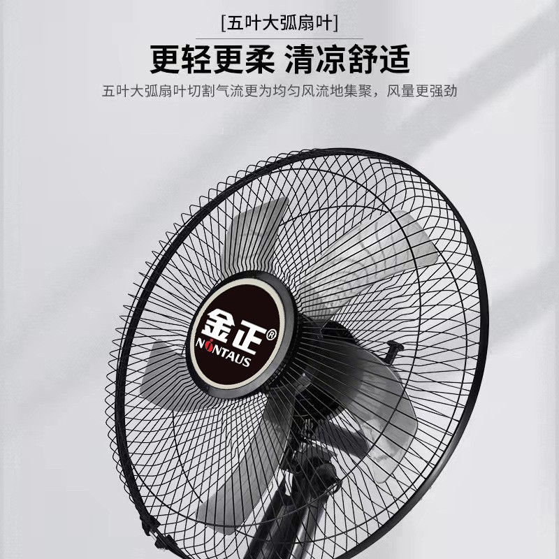 Jinzheng Floor Fan 20253 5-blade electric fan, desktop bedroom gift wholesale, energy-saving, left and right oscillating, household details Picture