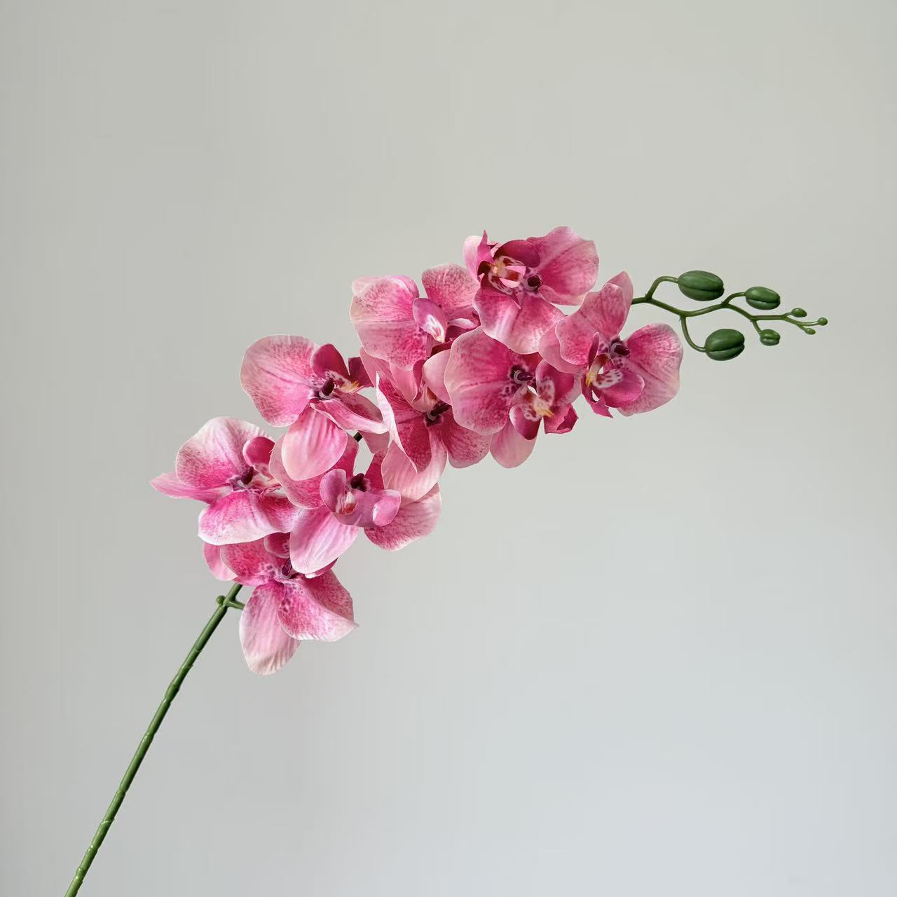 9头蝴蝶兰仿真花手感高级感逼真假花兰花艺场景布置酒店婚庆用花白底实物图