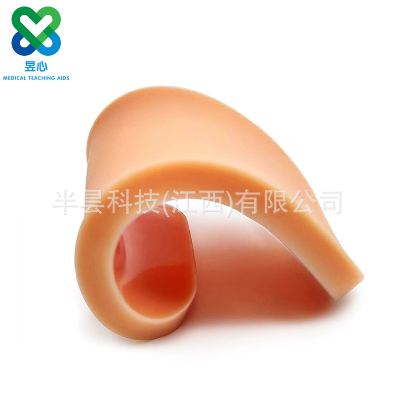 Orange rectangular pads for medical teaching AIDS, medical models, acupoint models, and teaching demonstration tools Item Picture