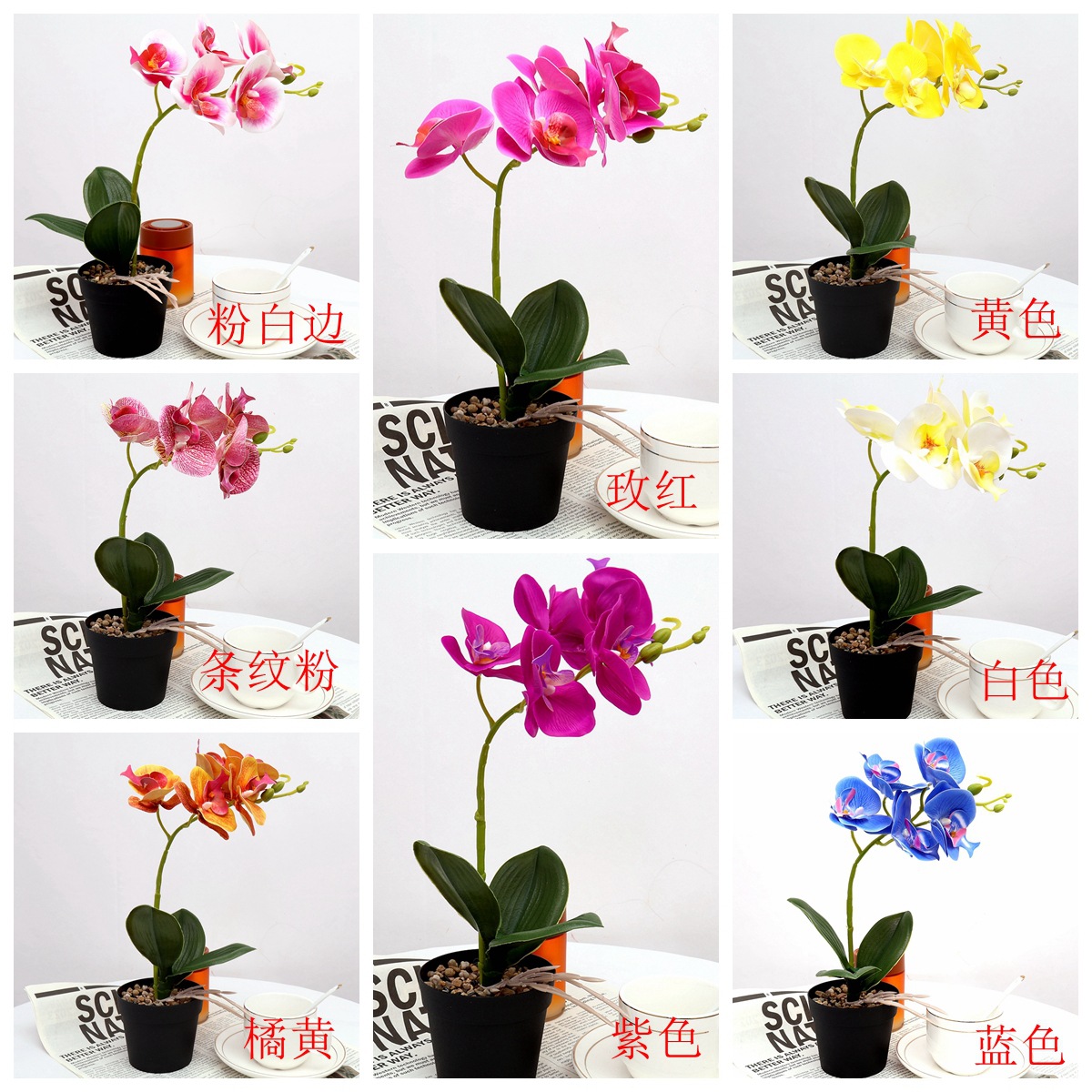 工厂批发家居装饰仿真蝴蝶兰盆景假花仿真蝴蝶兰盆栽仿真盆栽植物产品图