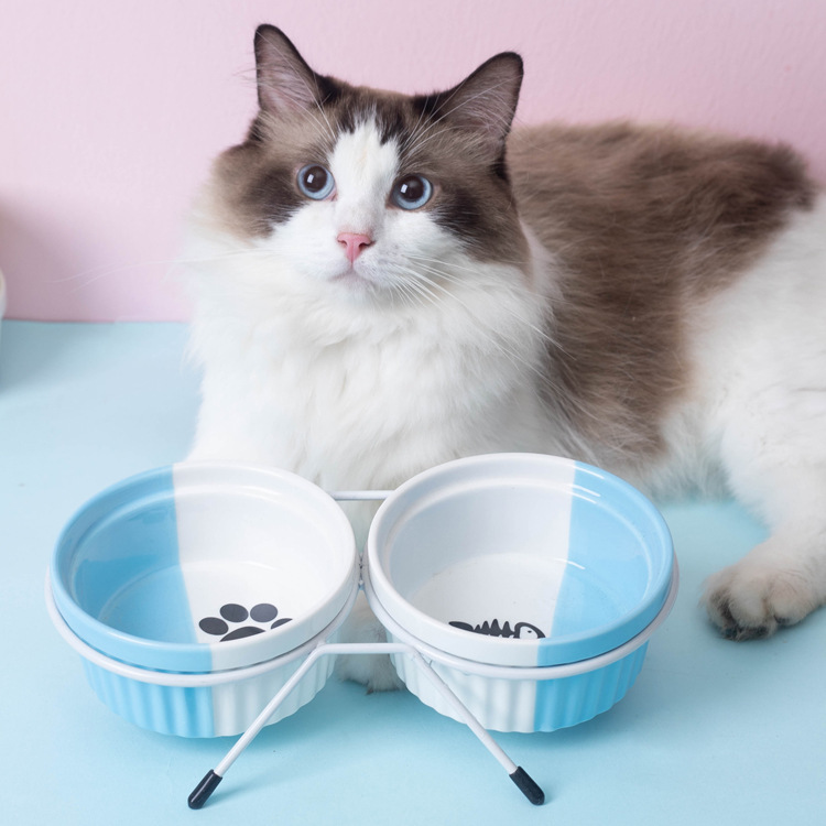 Ceramic double-bowl cat bowl for drinking water, pet cat food, dog and cat food, rice bowl stand, high feet, slanted mouth, neck guard Specification image